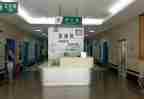 2024急诊护士年终总结优质6篇