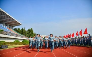 军训心得体会体会作文8篇