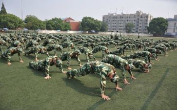 军训800字心得体会参考5篇