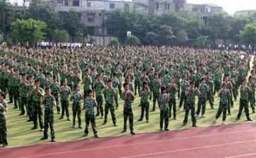 军训心得体会体会作文参考7篇