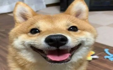 家长会开心得体会8篇