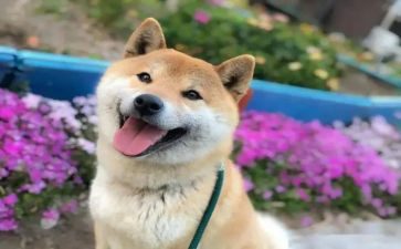 家长会开心得体会通用8篇