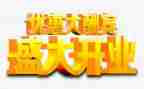 餐厅开业庆典活动策划5篇