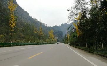 路要靠自己走作文8篇