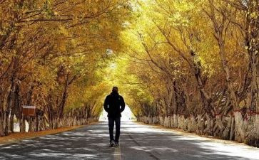 路要靠自己走作文最新7篇