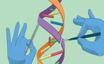 科学类的作文7篇