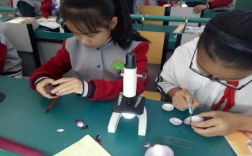 托班科学课教案5篇