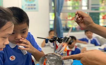 小班科学课教案及反思5篇