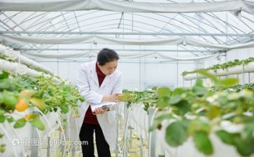 教师科研工作总结个人范文5篇