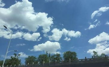 幼儿空气炮教案7篇