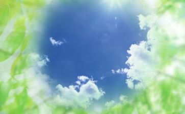 空气污染的调查报告优秀8篇