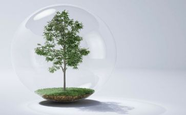 空气炮的教案精选7篇