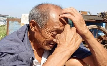 慰问老人主题活动方案7篇