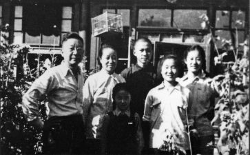 老舍的作品的读后感6篇