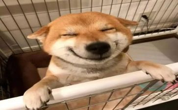 我成长我快乐作文600字8篇