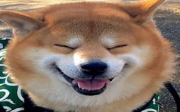 我劳动我快乐作文500字6篇