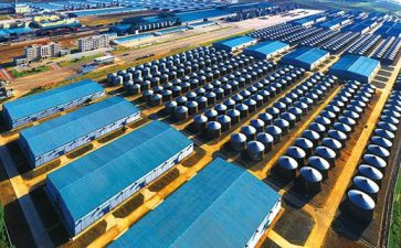 2024年粮库仓储工作总结8篇