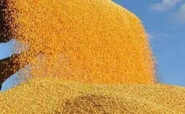 幼儿园节约粮食教育活动总结6篇