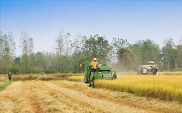 是节约粮食的作文7篇
