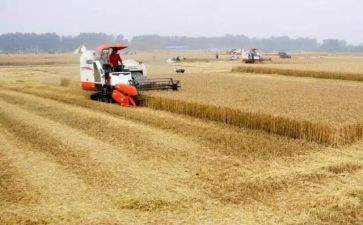全国粮食安全宣传周活动总结6篇