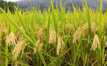 粮食以案为鉴心得体会8篇