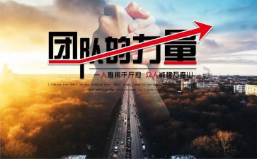 团队的力量心得体会6篇