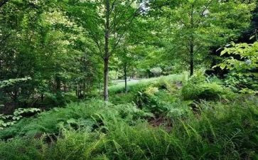 林地合作经营合同5篇