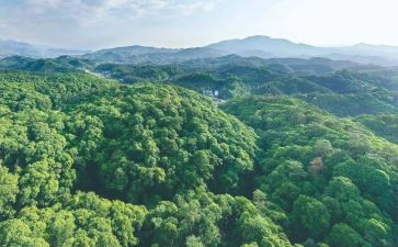 林业站述职报告范文6篇