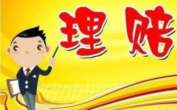理赔员的工作报告8篇