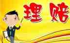 理赔员的工作报告8篇