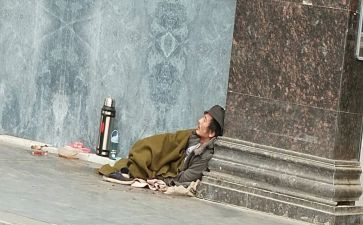 《忠诚的流浪狗》读后感6篇