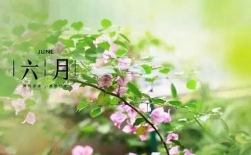 六月周工作计划5篇