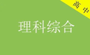 理综工作总结精选7篇
