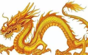 龙的调研报告精选7篇