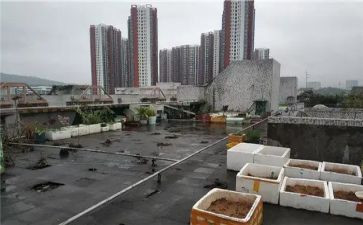 楼顶租赁合同8篇