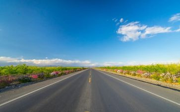 路域环境治理调研报告8篇