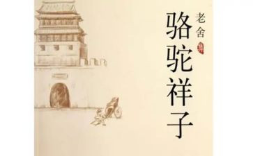 骆驼的作文400字5篇
