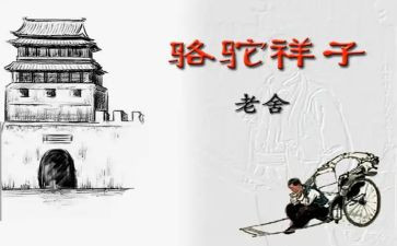 骆驼心得体会7篇