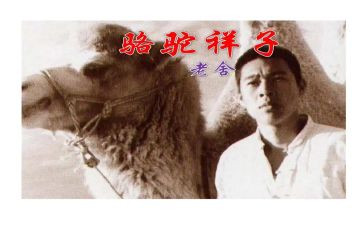 骆驼读后感600字参考5篇