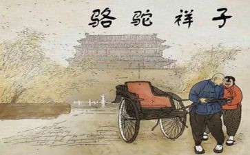 《骆驼》教案参考6篇
