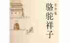 骆驼的作文400字5篇