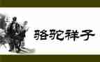 骆驼读后感600字优秀5篇