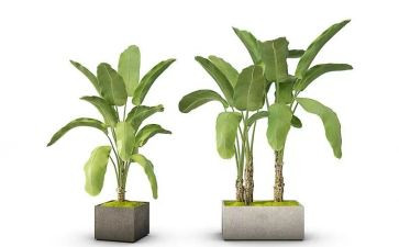 绿化养护合同推荐6篇