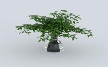 绿读后感400字推荐7篇