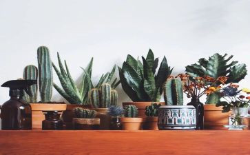 绿化的工作总结精选7篇