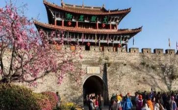 旅游模板合同8篇