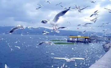 外旅游心得体会最新5篇