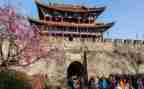 旅游模板合同8篇