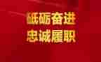 医生履职考核个人总结5篇