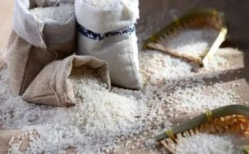 卖米的读后感5篇